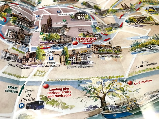 One City Tours - Visite de Strasbourg à Segway