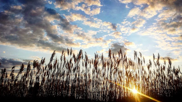 Hamilton Park (Gateway National Recreation Area)