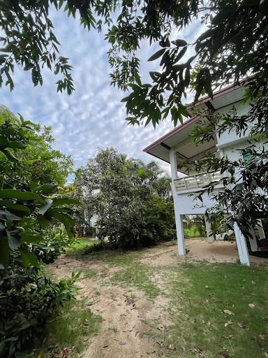 The Village Koh Phangan