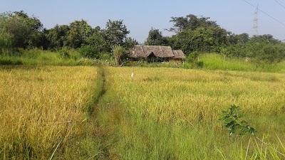 Photos of Divul hena oriental Village Restaurant