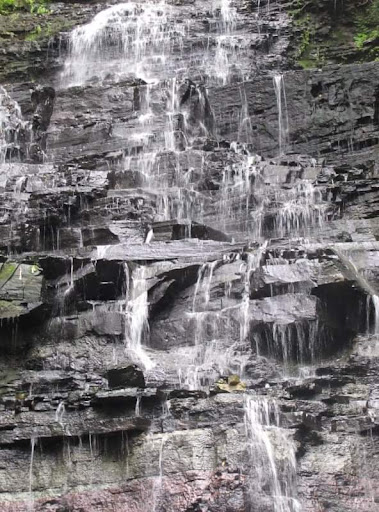 Denlow Falls - Visual