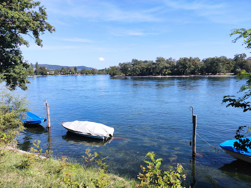 Hotel und Restaurant Alte Rheinmühle - Thumbnail