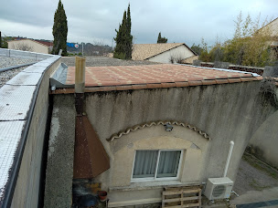 Photo n°18 de T.E.D.zinc à Saussines (Charpentier)