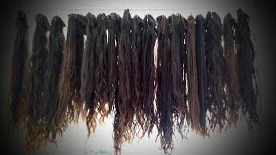 Photos of Cabelo e Cia