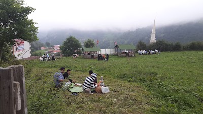 Photos of Tarihi Hamsik&ouml;y Konak Lokantası