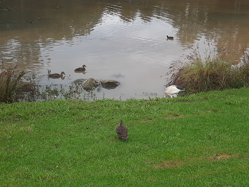 Macquarie Lake - Thumbnail