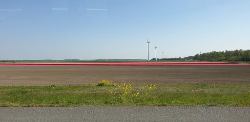 Vaartplas - Visual