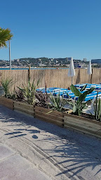 Photo n°24 de Les Voiles M Plage à Marseille (Bistro)