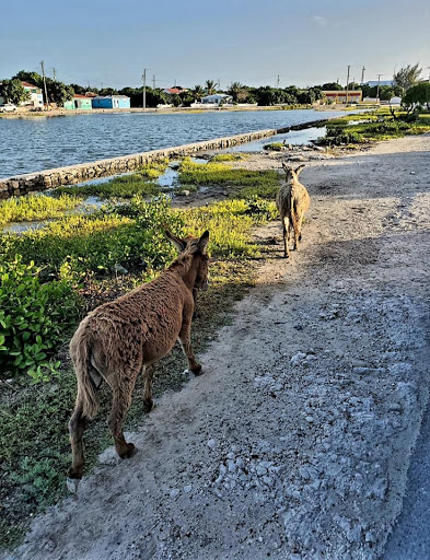 Traveling with T Gallery - United States