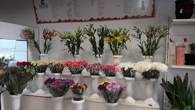 Photos of Flowers Center S.A.