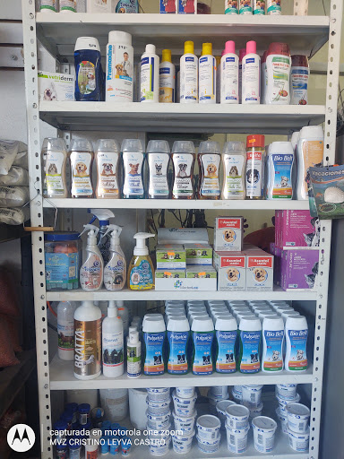 Veterinaria Mundo Animal