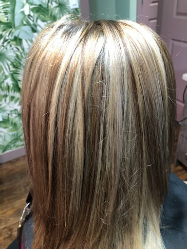 Salon '75 - Visual