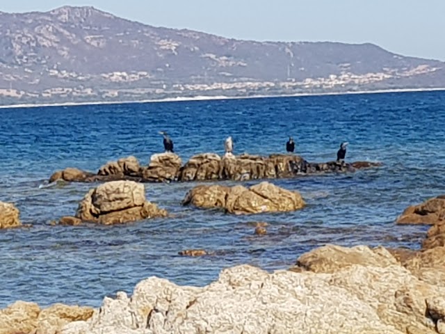 Spiaggia Isuledda