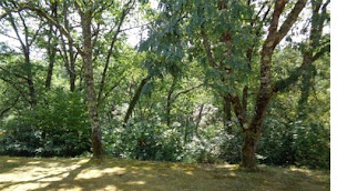 Photo n°7 de Argelouse - Chambre d'hôtes au calme de la forêt à Argelouse (Chambre d'hôtes)