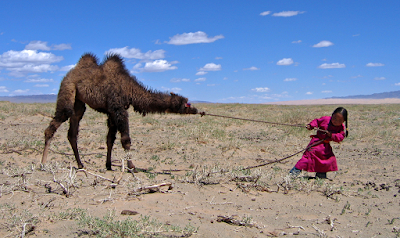 Photos of WESTERN MONGOLIA TOUR LLC