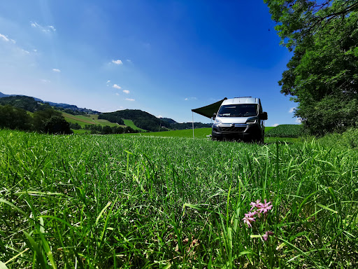 Wohnmobilstellplatz Grafenau - AlpacaCamping Gallery - Germany