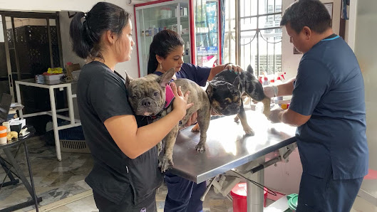 Fotografía de K'nes Clínica Veterinaria Neiva Del propietario