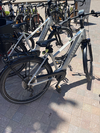 E-Cycles Sale & Rental - Thumbnail