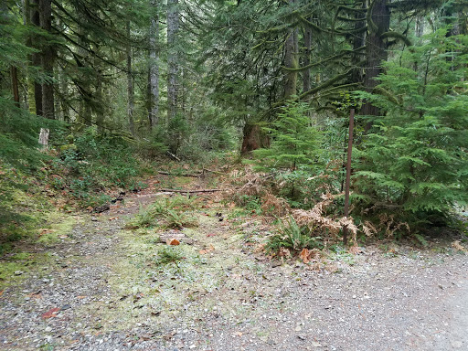 Opal Creek Wilderness - Thumbnail