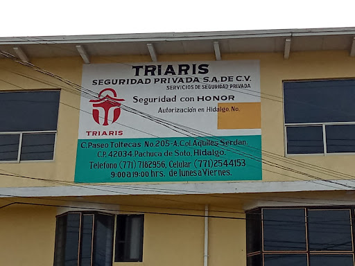 Triaris Seguridad Privada - Thumbnail