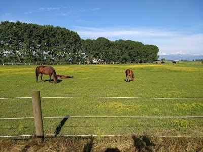 Centro Equino Arcadia