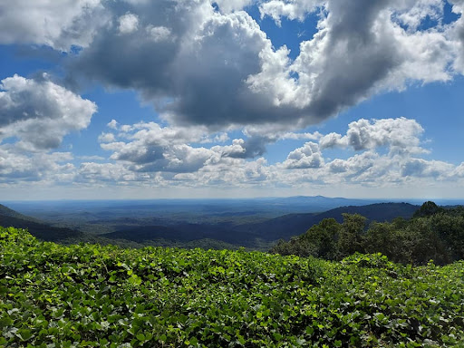 Georgia Mountain Living Realty - Thumbnail