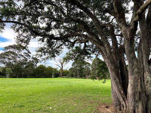 William Beach Reserve Logo
