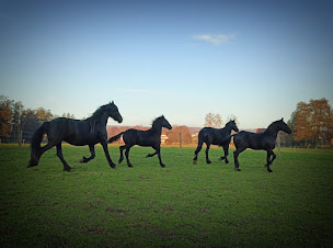 Photo n°33 de Ferme pédagogique de Bouxwiller à Bouxwiller (Organisme à but non lucratif)