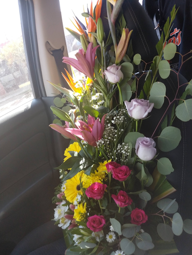 Florería Elsy - Visual