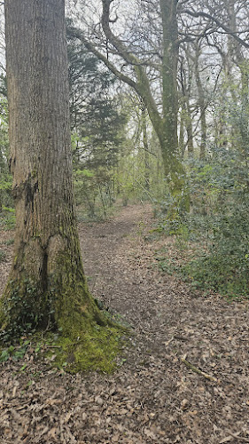 Heath Park - Cardiff
