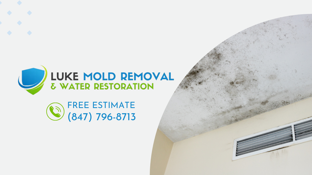 Luke Mold Removal & Water Restoration photo
