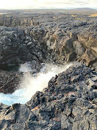 Photo n°12 de Mougeot Boulangerie Pâtisserie - Tabac à Les Forges (Pâtisserie)