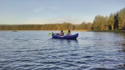 Allen Lake State Forest