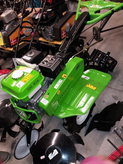 Photos of Багира