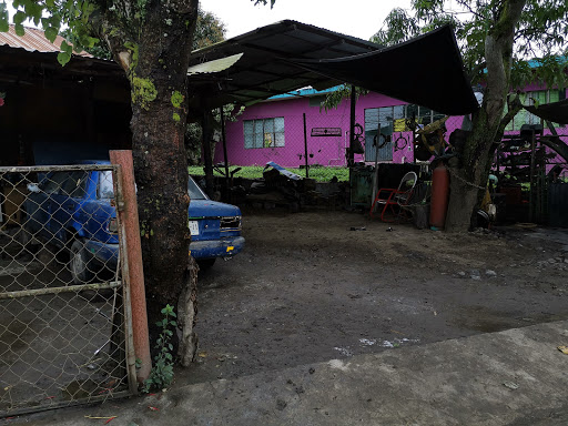 Taller mecánico "Lupillo"