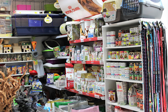 Comentarii opinii despre Figo Sklep Zoologiczny