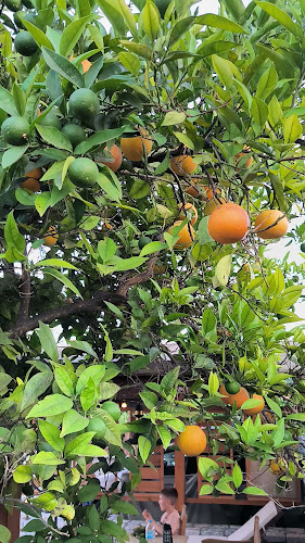 Αξιολογήσεις για το ESTIA - Holiday στην Γύθειο - Υπηρεσία καθαρισμού