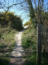 Photo n°5 de Tyarmor à Santec (Lodge)