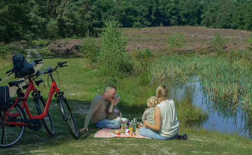 Fietshuis Arnhem - Thumbnail