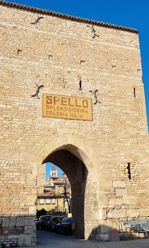 Asd Spello - Visual