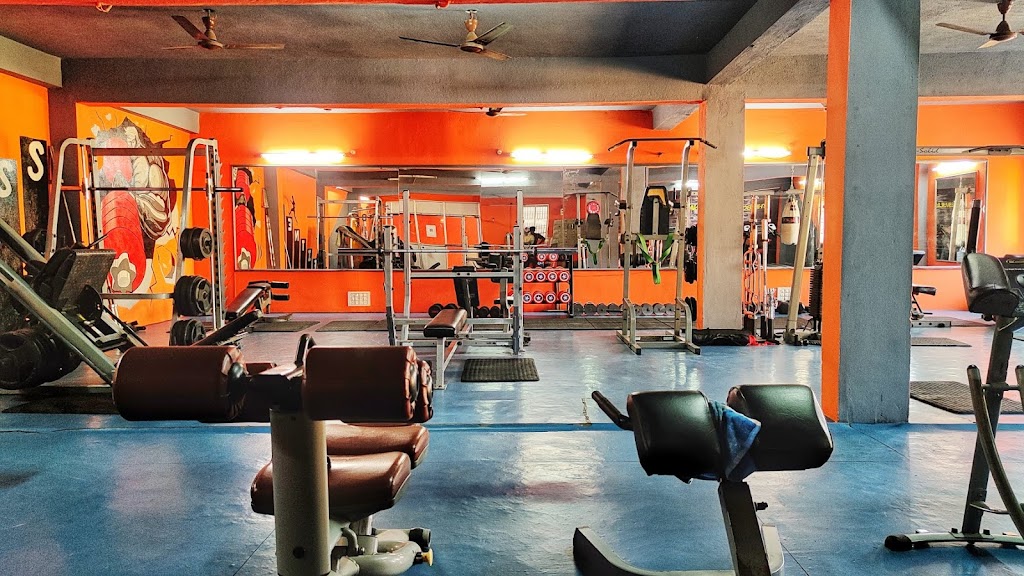 My Gym