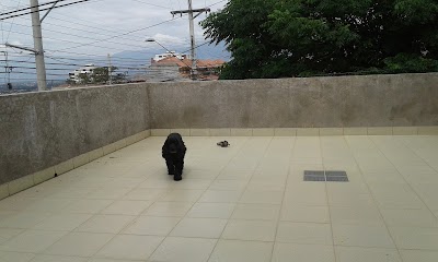 Photos of Homero Park