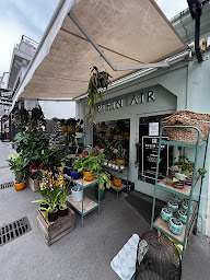 Photo n°52 de Plein Air à Biarritz (Fleuriste)