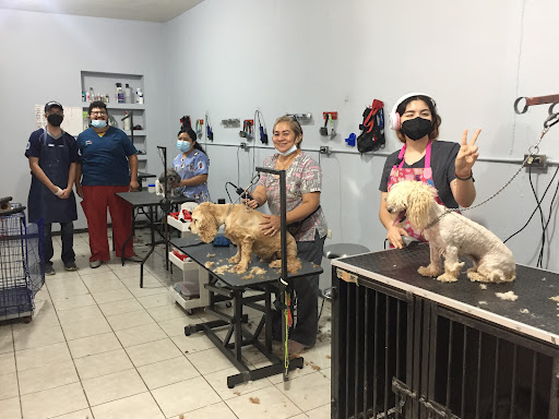 Mi Mejor Amigo Clínica Veterinaria
