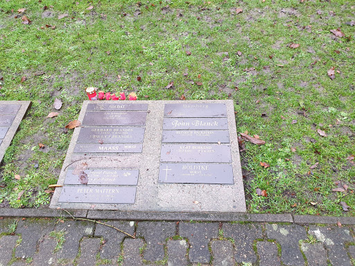 Baumgräber - Visual