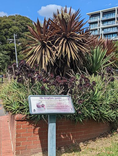 The Xerophytic Garden Logo