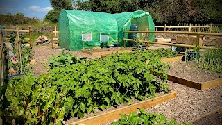 Wharfside Allotments
