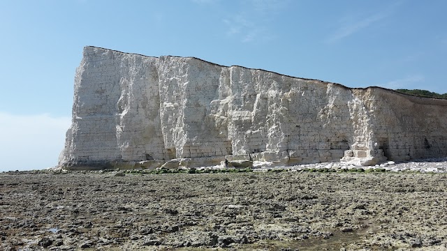 Seaford Head Nature Reserve, Sussex Wildlife Trust
