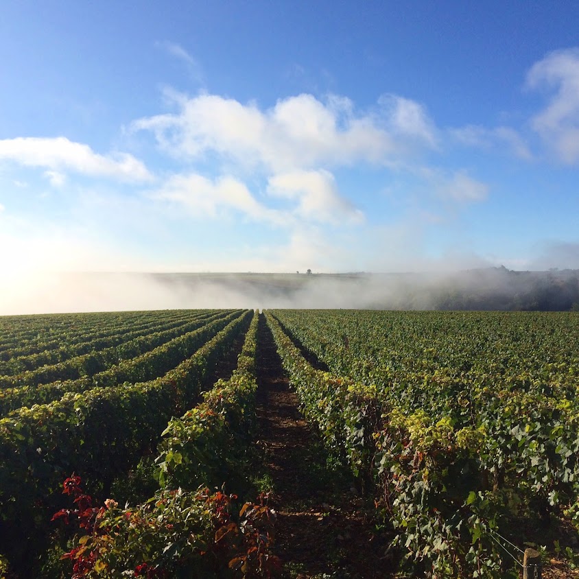 Image de Lauverjat Alain