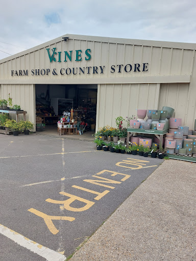 Vines Kitchen - Visual